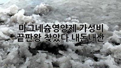 ✨마그네슘영양제 가성비 끝판왕🏆 찾았다! (내돈내산)