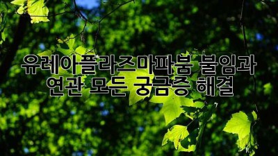 유레아플라즈마파붐🚨 불임과 연관? 모든 궁금증 해결!