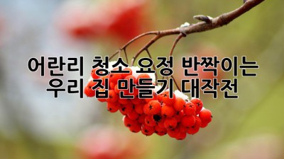✨ 어란리 청소 요정🧚‍♀️: ✨반짝이는 우리 집 만들기 대작전!🏡